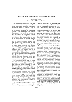 ORIGIN OF THE MAMMALIAN FEEDING MECHANISM