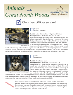 here - North Country Chamber of Commerce