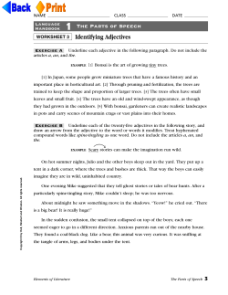 Identifying Adjectives