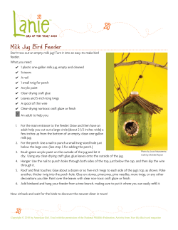 Milk Jug Bird Feeder - Play