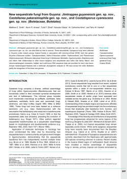 New sequestrate fungi from Guyana: Jimtrappea