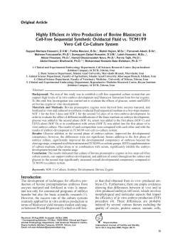 Highly Efficient In Vitro Production of Bovine Blastocyst in Cell