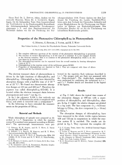 Properties of the Photoactive Chlorophyll