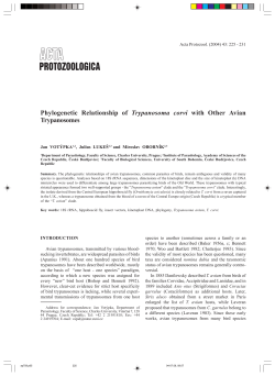 Phylogenetic Relationship of Trypanosoma corvi with Other Avian