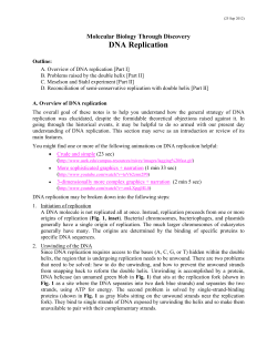 DNA Replication - people.vcu.edu