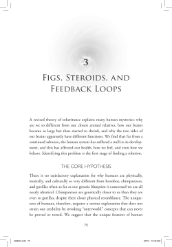 Figs, Steroids, and Feedback Loops