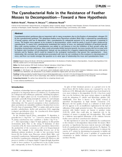The Cyanobacterial Role in the Resistance of Feather Mosses to