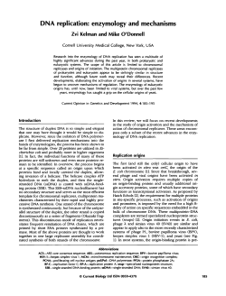 DNA replication: enzymology and mechanisms