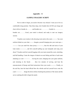 MENTAL IMAGERY SCRIPT