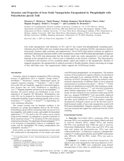 Structure and Properties of Iron Oxide Nanoparticles Encapsulated