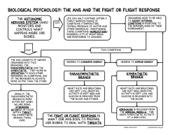 The ANS and the Fight or Flight response