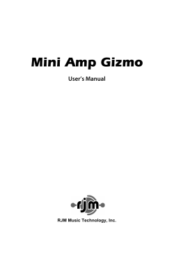 Mini Amp Gizmo Manual - RJM Music Technology