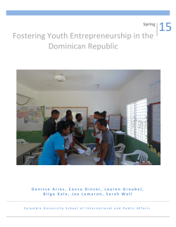 Fostering Youth Entrepreneurship in the