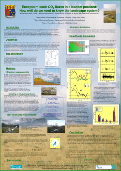 Ecosystem scale CO fluxes in a blanket peatland: How well do we