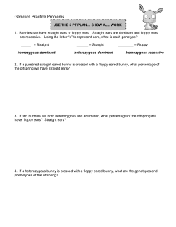 Genetics Practice Problems