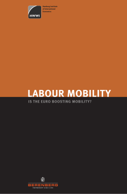 Labour mobility : is the euro boosting mobility?