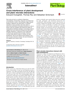 Cross-interference of plant development and plant&ndash;microbe