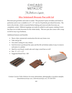 Slice Solutions&reg; Brownie Pan with Lid