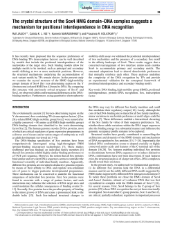 The crystal structure of the Sox4 HMG domain&ndash;DNA complex