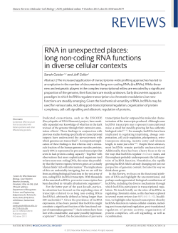 RNA in unexpected places: long non