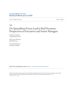 Do Spreadsheet Errors Lead to Bad Decisions
