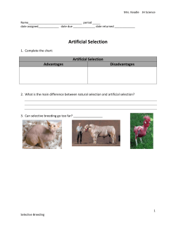 artificial selection assignment