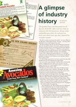 A glimpse of industry history - Avocado Industry Council