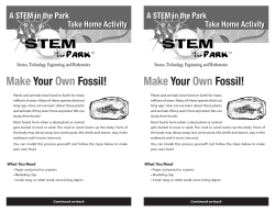 Make Your Own Fossil! Make Your O