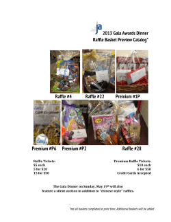 2013 Gala Awards Dinner Raffle Basket Preview Catalog* Raffle #4