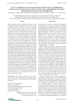 Cell cytoskeletal changes effected by static