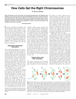 How Cells Get the Right Chromosomes