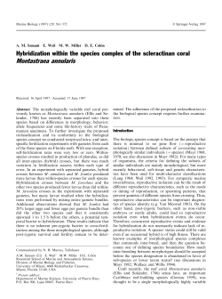 Montastraea annularis - People Server at UNCW