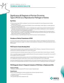 (PCV2) as a Reproductive Pathogen of Swine