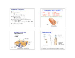 Composition of ICF and ECF