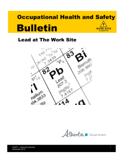 Lead at the Work Site - Alberta Labour