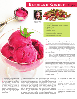 Rhubarb SorbetRecipe - Southeast Living Magazine