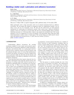 Building a better snail: Lubrication and adhesive