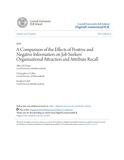 A Comparison of the Effects of Positive and Negative Information on
