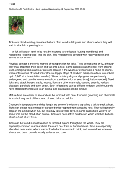 Ticks are blood-feeding parasites that are often found in tall grass