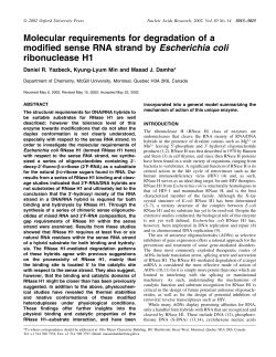 Molecular requirements for degradation of a modified sense RNA