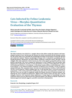 Cats Infected by Feline Leukemia Virus&mdash;Morpho
