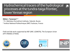 Hydrochemical tracers of the hydrological processes at the tundra