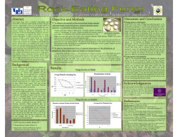 Fungi Grown in Basalt Fungi Grown in Granite