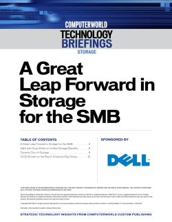 A Great Leap forward in Storage for the Smb