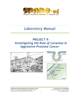 Laboratory Manual - Diamantina Institute