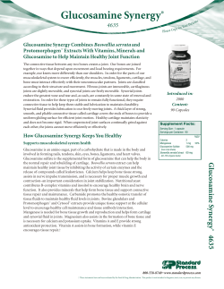Glucosamine Synergy Tabsheet