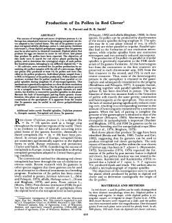 (1984) Production of 2n Pollen in Red Clover