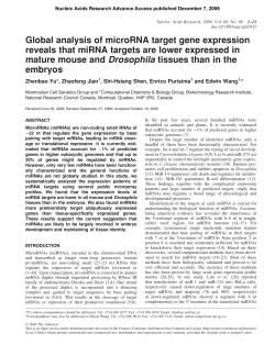 Global analysis of microRNA target gene expression reveals that