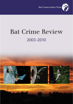 BCT - Bat Crime Review - Bat Conservation Trust