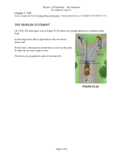 Chapter 3 P20 THE PROBLEM STATEMENT